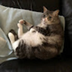 Meet your Posher, Weilin